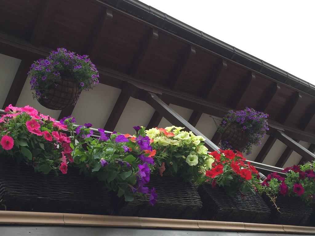 Gasthaus La Casona De Benito Cudillero Exterior foto